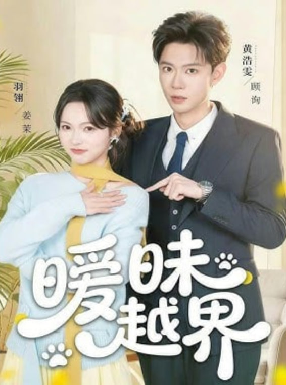 热播榜第二位影片海报